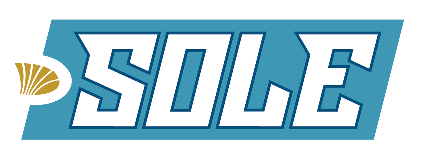 Sole Inshore Fishing System