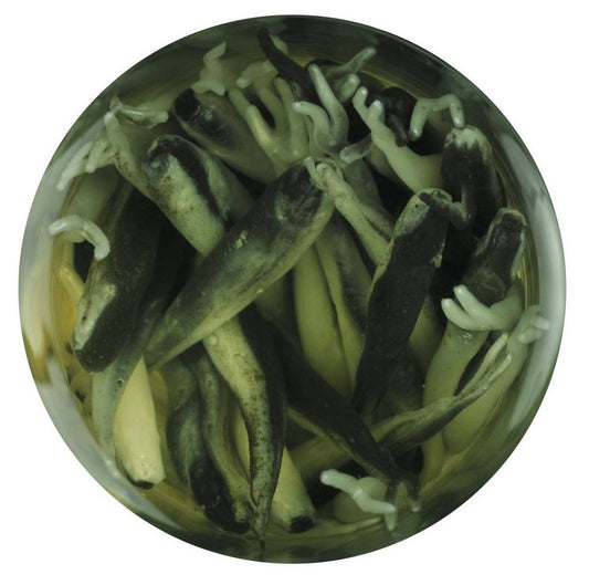 Berkley Gulp 1" Minnow