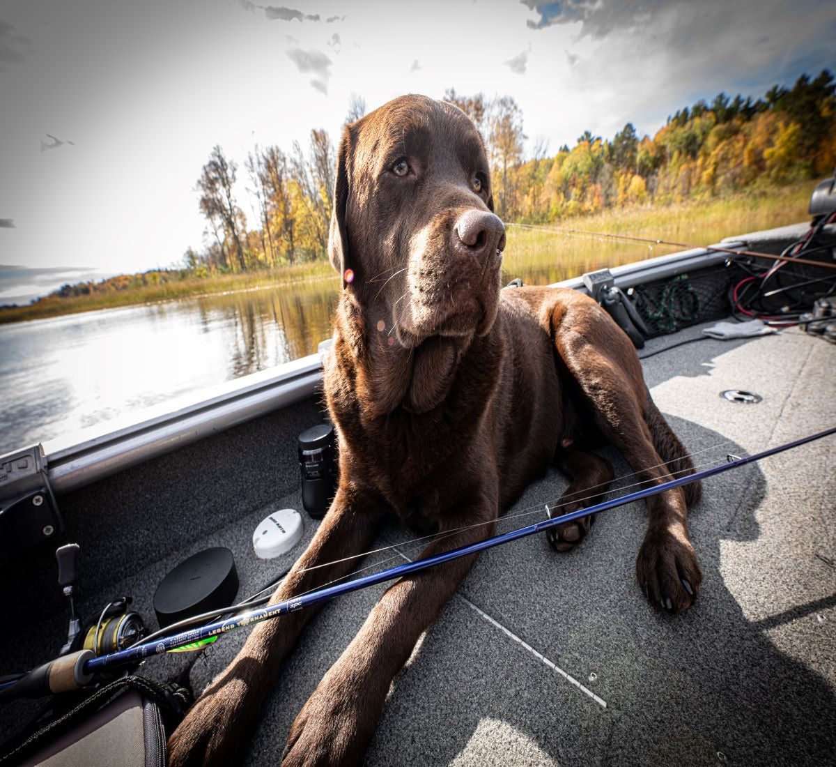 LEGEND TOURNAMENT® WALLEYE SPINNING RODS - Retired