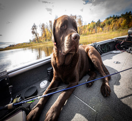 LEGEND TOURNAMENT® WALLEYE SPINNING RODS - Retired